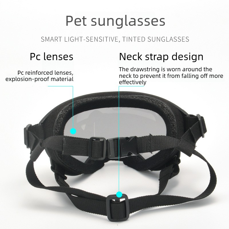 แว่นตาสำหรับสัตว์เลี้ยง ป้องกั - Travel Accessories Ideas บทวิจารณ์และราคา